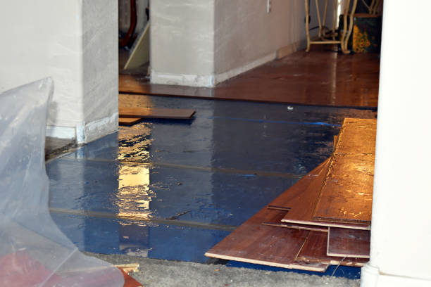 Professional Water Damage Restoration technician working in Bristol, RI